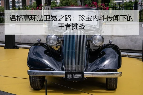 wen-ge-gao-huan-fa-wei-mian-zhi-lu-zhen-bao-nei-dou-chuan-wen-xia-de-wang-zhe-tiao-zhan-2-516.jpg