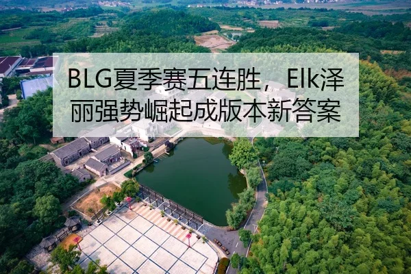 BLG夏季赛五连胜，Elk泽丽强势崛起成版本新答案
