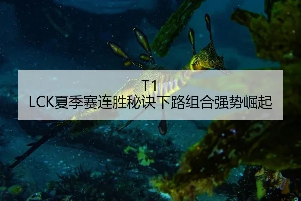 xia-ji-sai-lian-sheng-mi-jue-xia-lu-zu-he-qiang-shi-jue-qi-2-214.jpg