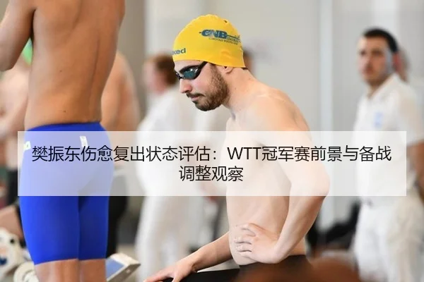 樊振东伤愈复出状态评估：WTT冠军赛前景与备战调整观察
